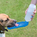 Bebedouro De Agua Plastico Pet Com Garrafa