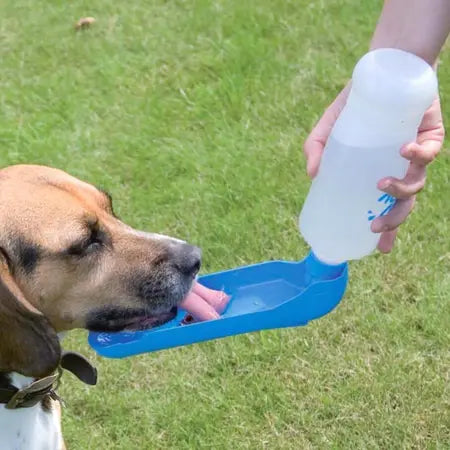 Bebedouro De Agua Plastico Pet Com Garrafa