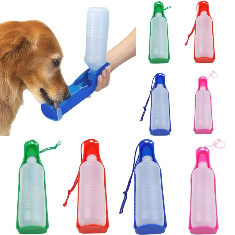 Bebedouro De Agua Plastico Pet Com Garrafa